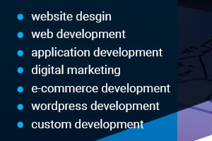 Portfolio for Expert in Web Development and Wordpress