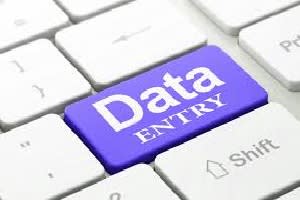 Portfolio for DATA ENTRY , COPY PASTE