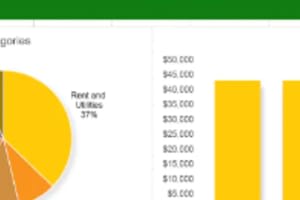 Portfolio for Excel, Online Business Consultation