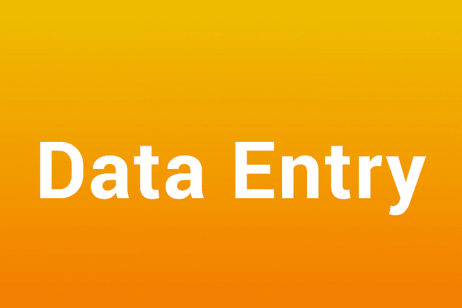 An Affordable Data Entry, Typing, Copy-Paste & Excel Spreadsheet