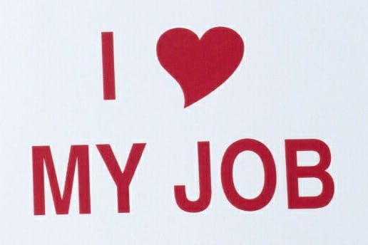 Portfolio for Data entry