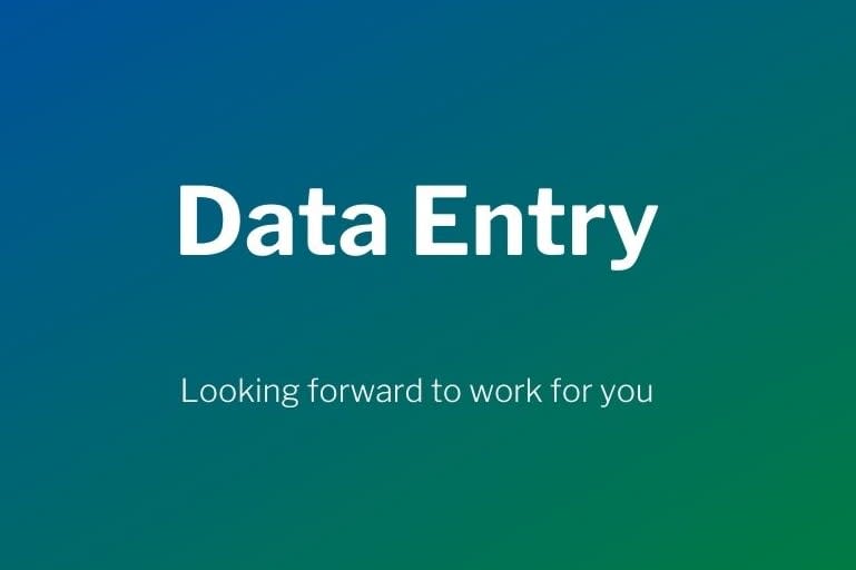Portfolio for Data Entry