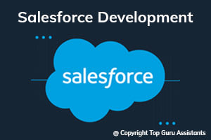 Portfolio for Salesforce development and support