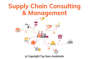 Portfolio for Supply Chain Consulting & Management