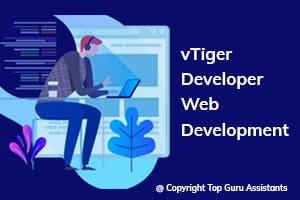 Portfolio for Hire vTiger Developer | Web Development