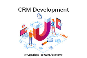 Portfolio for CRM Development (Existing / Customized)