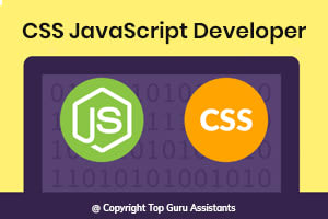 Portfolio for Hire CSS JavaScript Developer