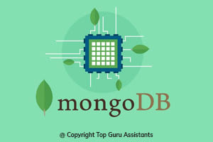 Portfolio for Hire MongoDB | DB Development