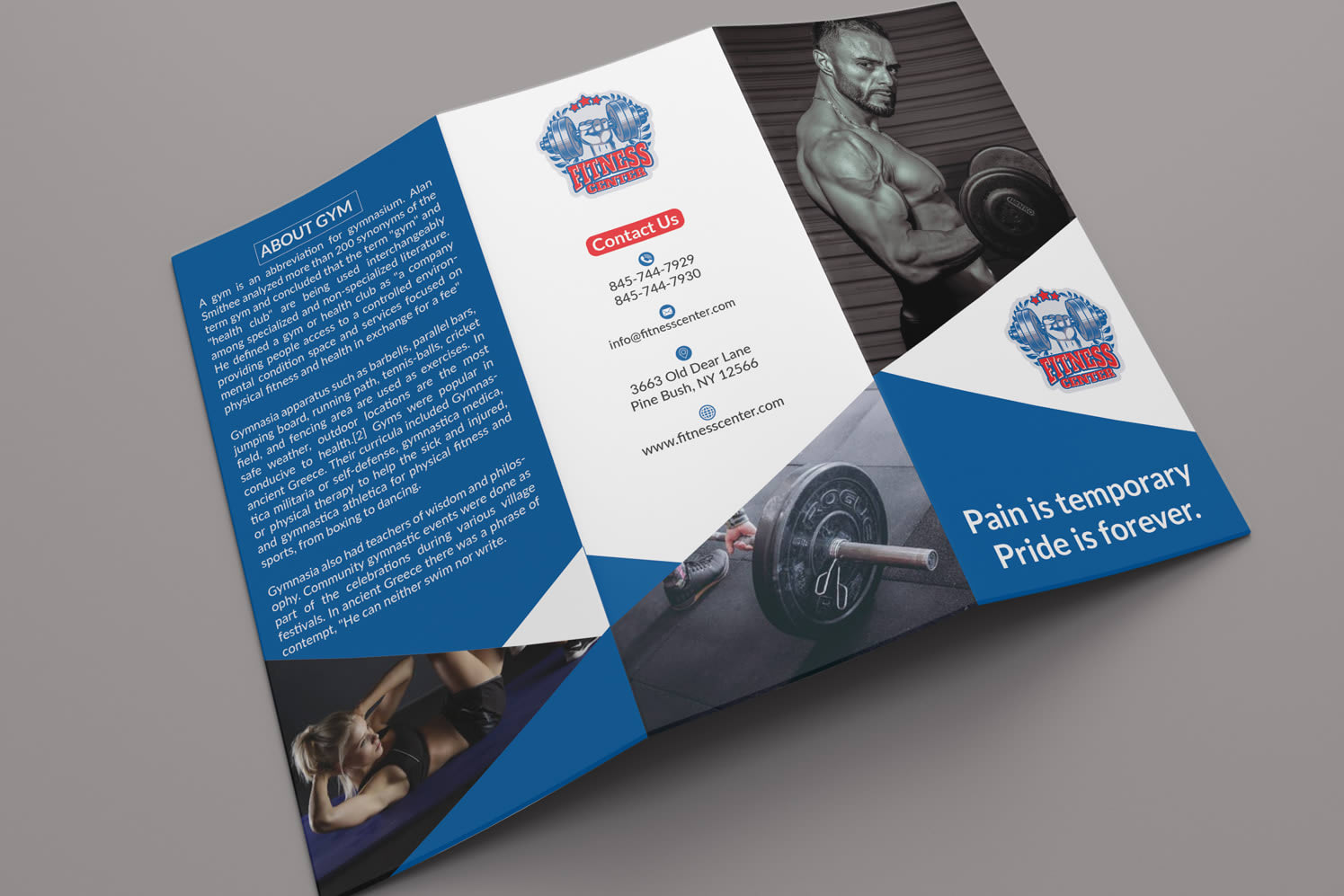 Portfolio for Design Flyer, Brochure or Leaflet