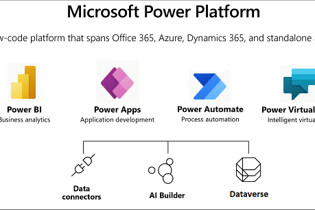 Portfolio for Power Apps deployment / Dynamics 365 CE