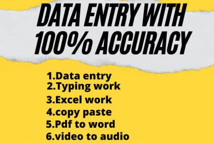 Portfolio for I will do fastest data entry typing work