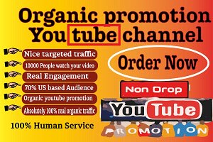 Portfolio for Organic top YouTube video promotion