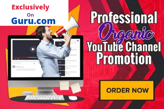 Portfolio for Organic youtube viral video promotion