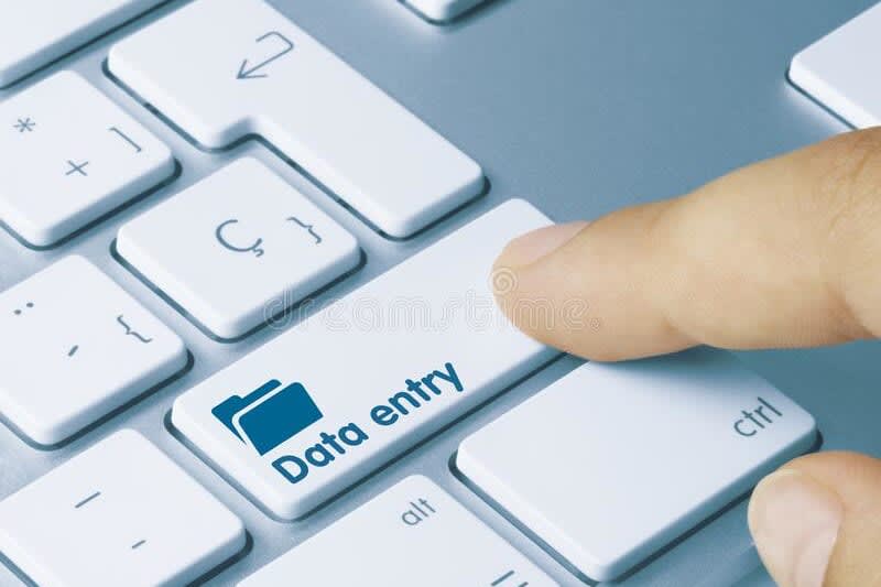 Portfolio for Online Data Entry Services