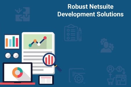 Portfolio for NetSuite Development