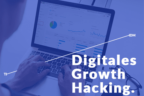 Portfolio for Digitales Growth Hacking