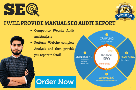 Portfolio for I will provide manual SEO audit report