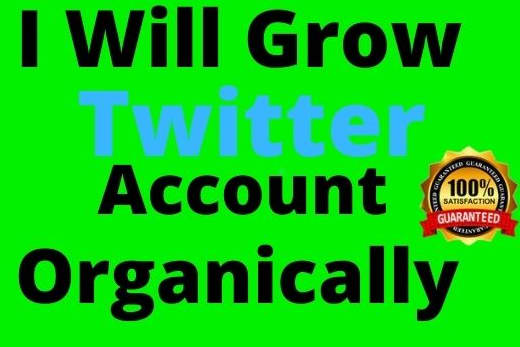 Portfolio for Twitter Marketing/Twitter Followers