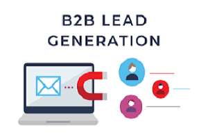 Portfolio for Valid B2B Email Leads Generation