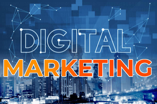 Portfolio for Digital Marketing | SEO | SMM