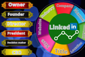 Portfolio for LinkedIn sales navigator lead generation