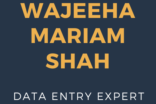 Portfolio for data entry