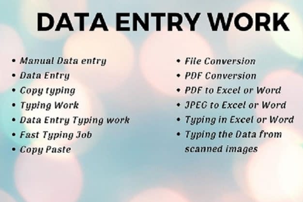 Portfolio for Data entry , pdf conversion