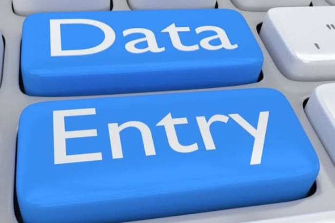 Portfolio for Data entry services