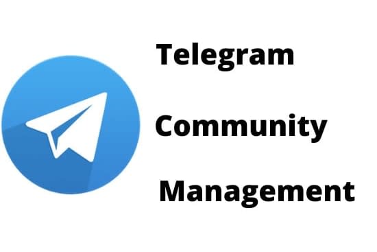 Portfolio for Telegram community manager