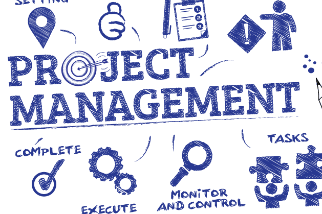 Portfolio for Project Management and PMO Services