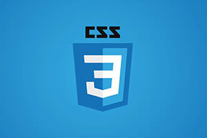 Portfolio for CSS Developer