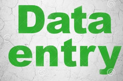 Portfolio for Data Entry in Excel