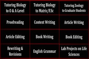 Portfolio for Proofreading, Content Writing, Tutoring