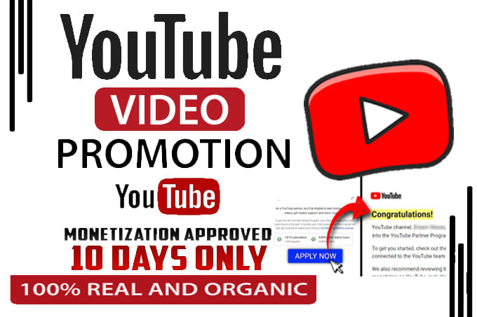 Portfolio for youtube video promotion