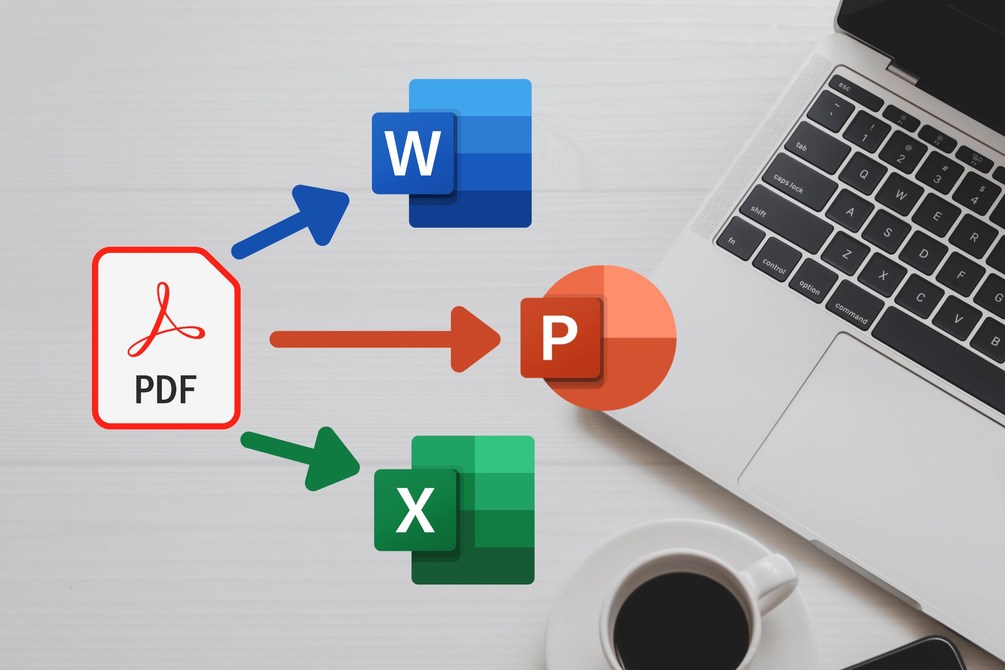 Portfolio for Convert PDF to MS WORD