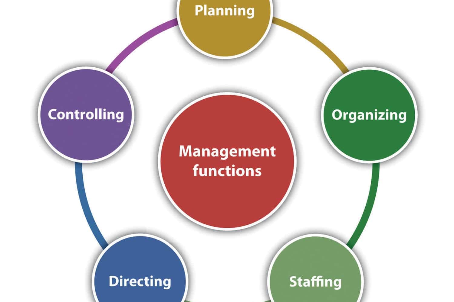 Portfolio for Files Organization Management