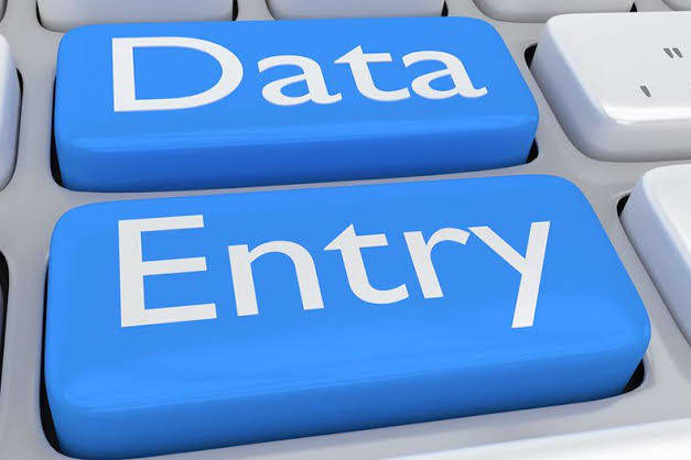 Portfolio for Data Entry in excel
