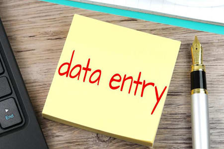 Portfolio for Data Entry