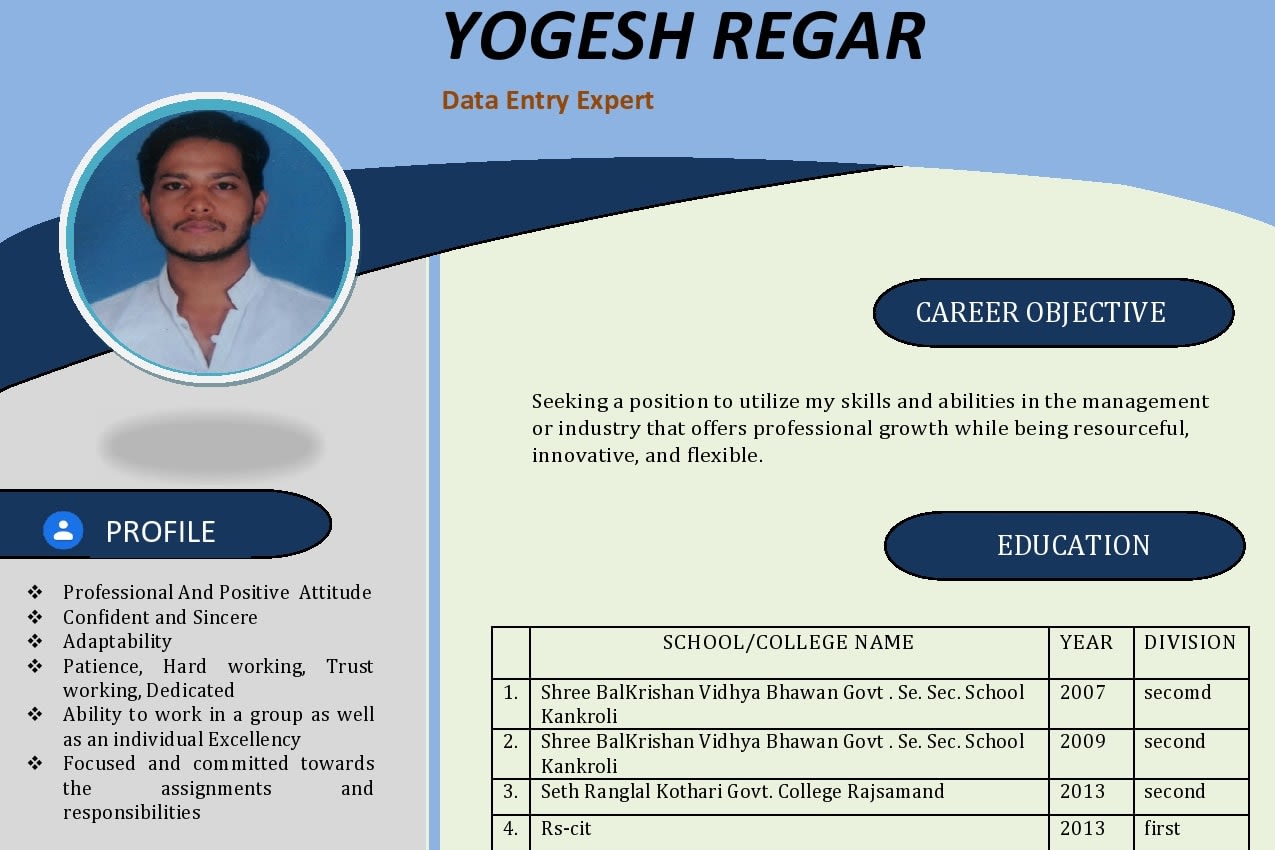 Portfolio for data entry, curriculam vitae