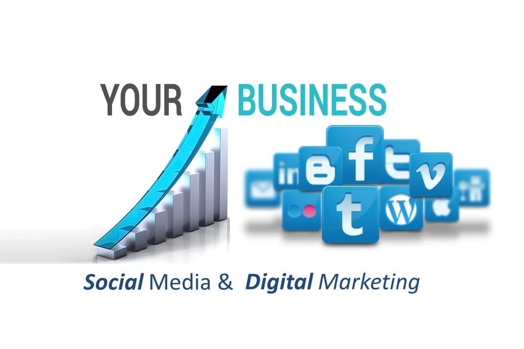 Portfolio for SEO/Social Media Marketing ALL Services