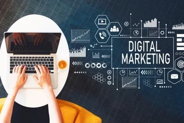 Portfolio for Digital Marketing Consultant