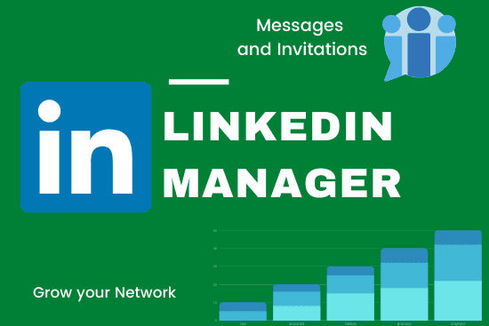 Portfolio for LinkedIn Manager