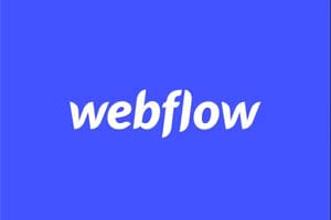 Portfolio for WEBFLOW Development