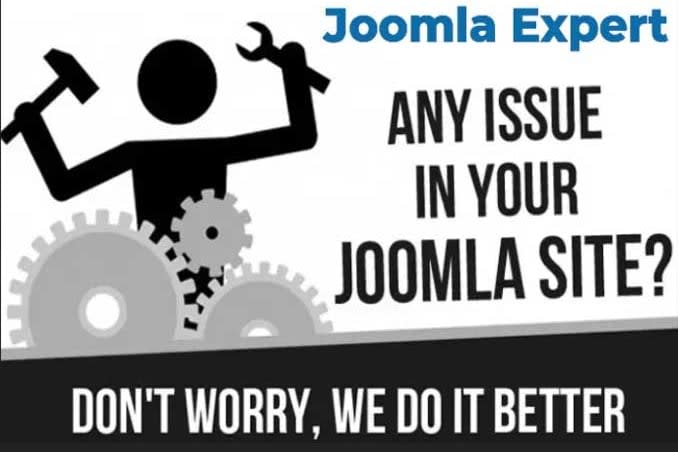 Portfolio for I will build and fix Joomla website.