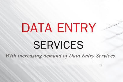 Portfolio for Data Entry Expert