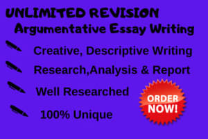 Portfolio for write any tyep of essay writing in 5hour