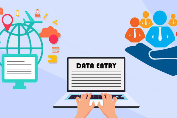 Portfolio for data entry