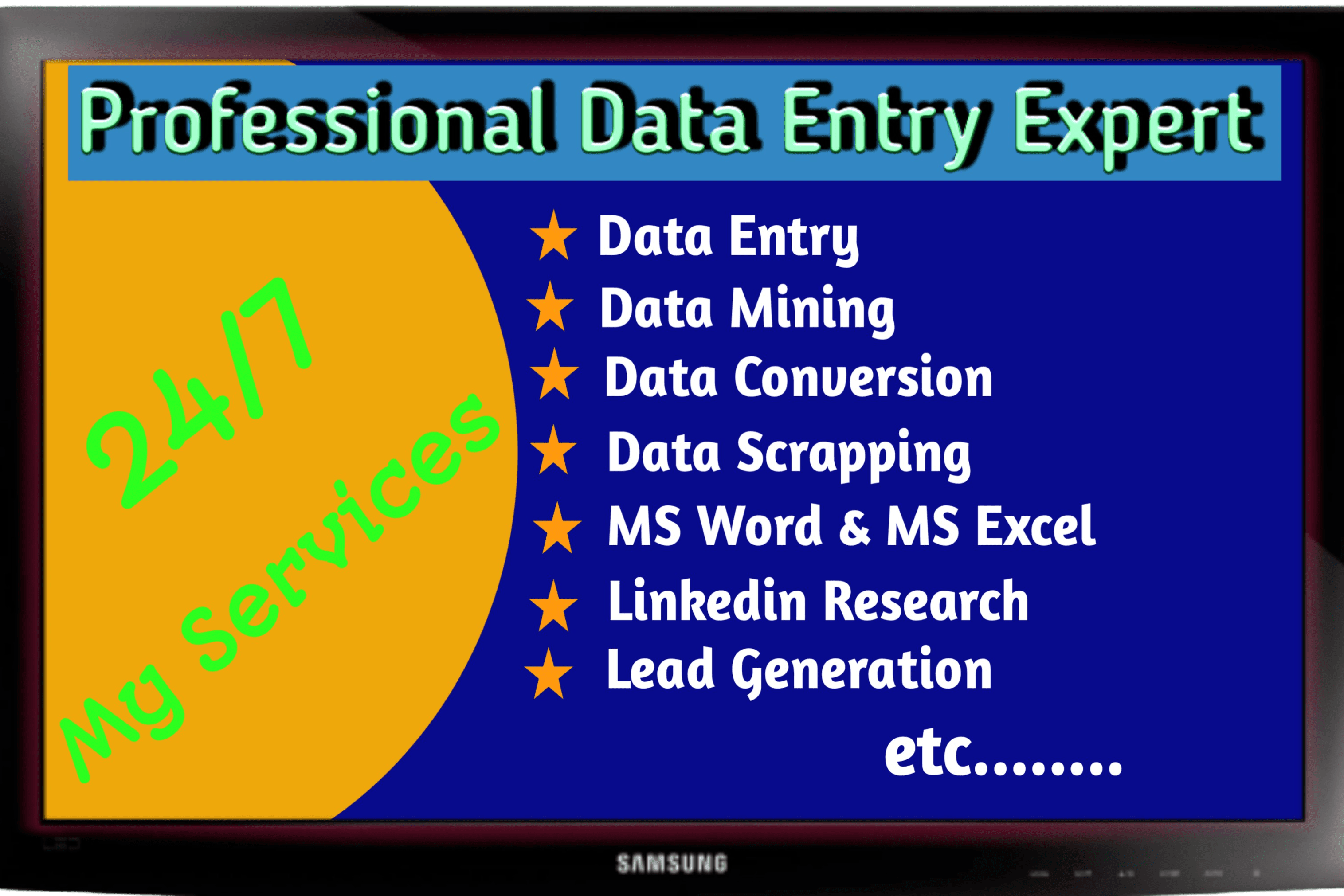 Portfolio for Data Entry Expert