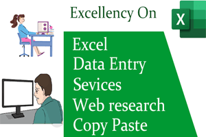 Portfolio for Excel data entry,web research,copy paste