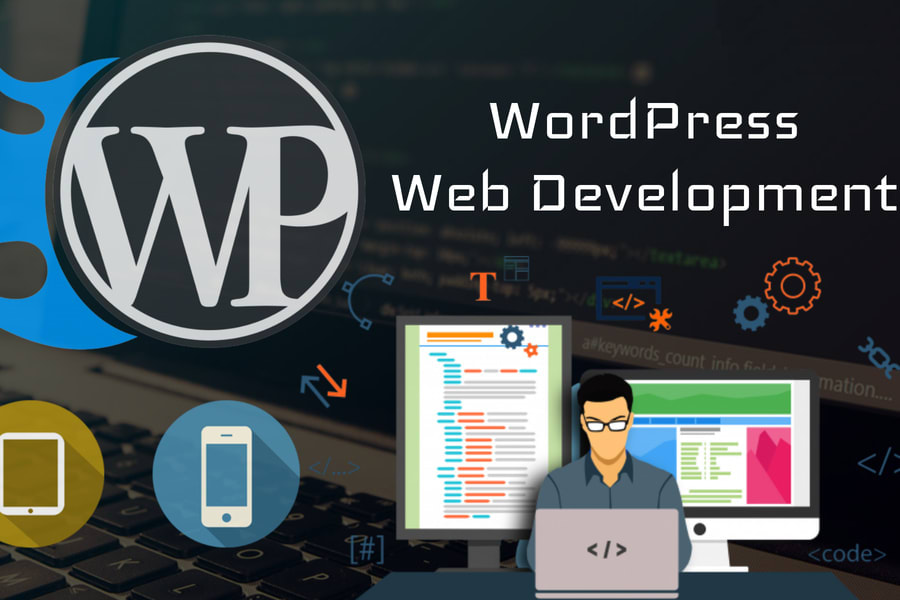 Portfolio for Wordpress Developement